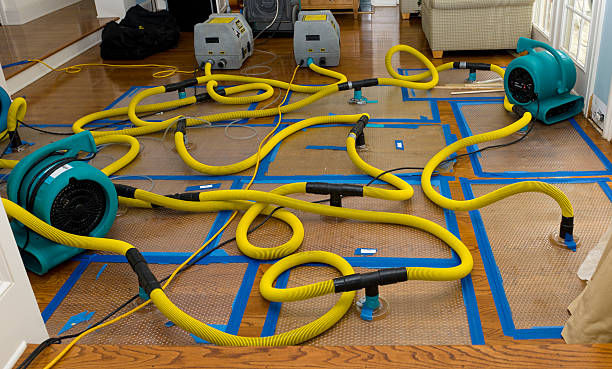 Professional Crawl Space Water Removal technician working in Bath, NC